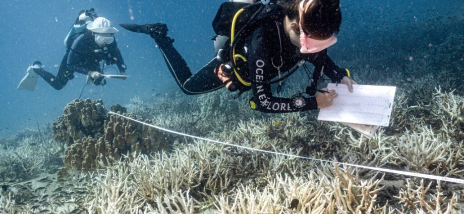 sewage-is-threatening-coral-reefs-around-the-world,-even-in-marine-protected-areas
