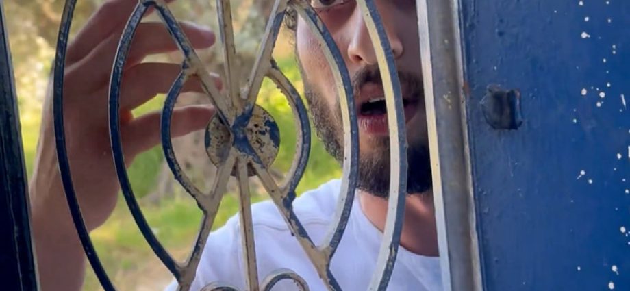 israeli-settler-attacks-hebron-activist’s-home-as-soldier-looks-on