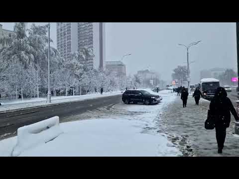 moscow-hit-by-unusually-heavy-late-april-snowstorm