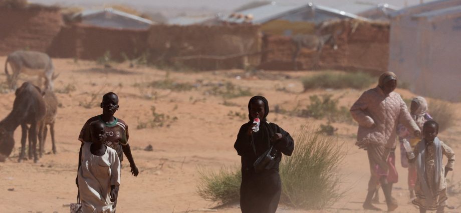 thousands-held-by-paramilitary-rsf-in-sudan’s-el-fasher:-ngo