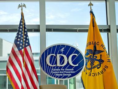 cdc-warns-of-drug-resistant-salmonella-infections-linked-to-backyard-poultry