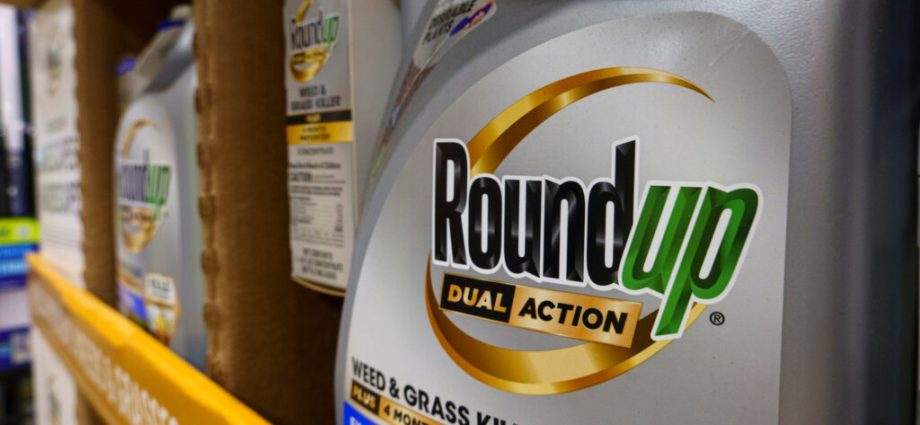 thousands-of-people-say-roundup-caused-their-cancer-the-supreme-court-may-quash-their-lawsuits.