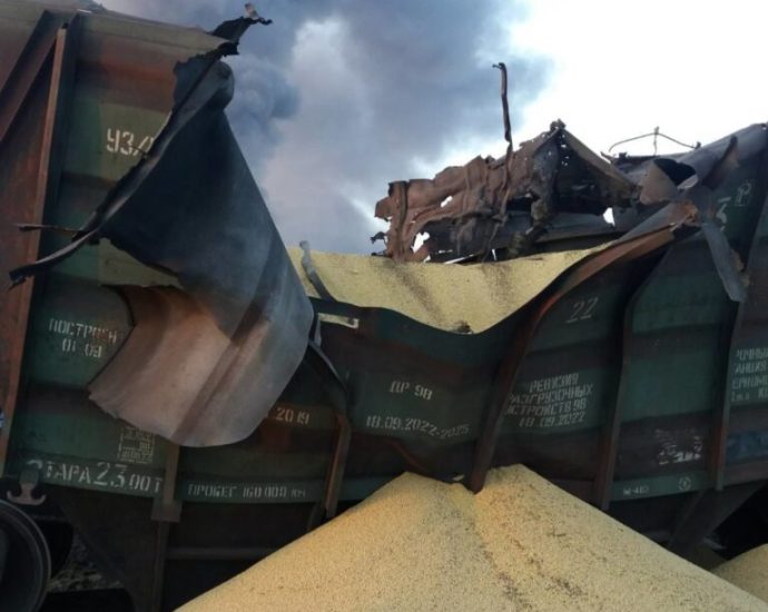 ukraine-summons-israeli-ambassador-—-for-second-russian-stolen-grain-vessel-to-reach-haifa