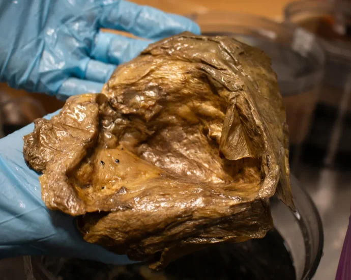 scientists-finally-solve-mystery-of-strange-“golden-orb”-found-2-miles-deep