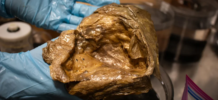 scientists-finally-solve-mystery-of-strange-“golden-orb”-found-2-miles-deep