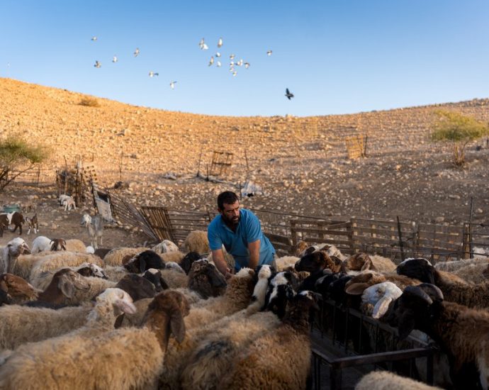 the-shepherds-of-the-west-bank
