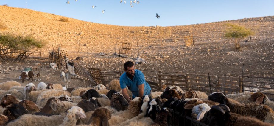 the-shepherds-of-the-west-bank