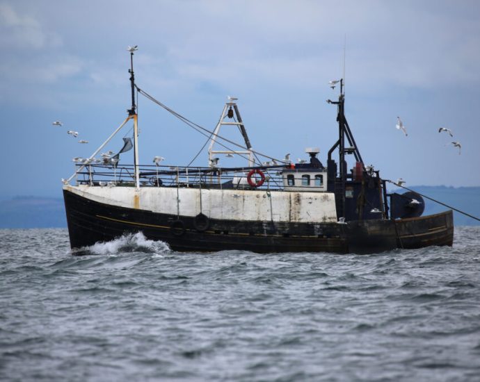 europe’s-trawlers-extract-a-huge-‘cost-to-society’-in-bycatch-and-carbon-dioxide