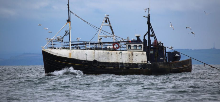 europe’s-trawlers-extract-a-huge-‘cost-to-society’-in-bycatch-and-carbon-dioxide