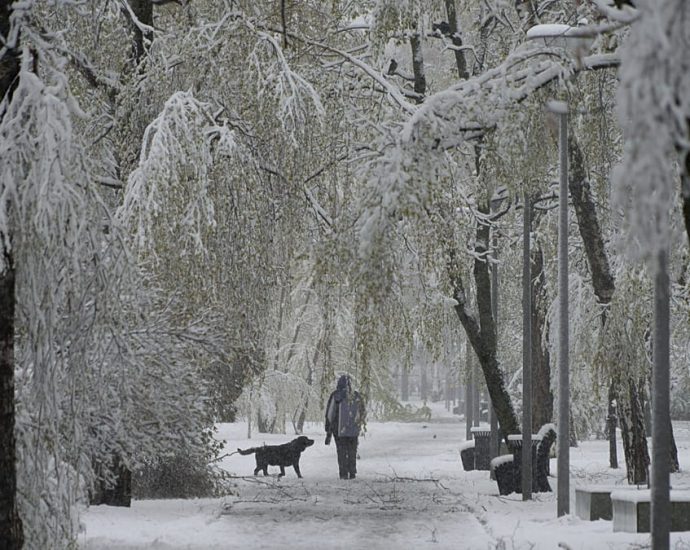rare-spring-snowstorm-hits-moscow
