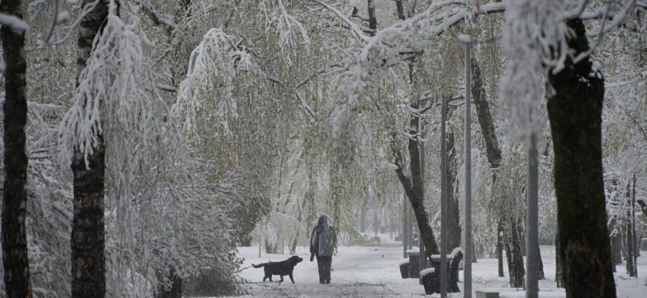 rare-spring-snowstorm-hits-moscow