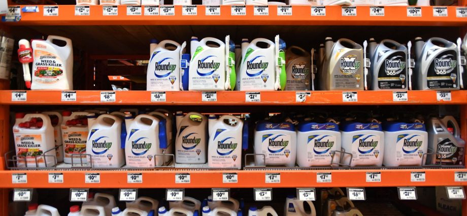 supreme-court-hears-arguments-in-landmark-weed-killer-case-maha-moms-say-it-could-be-a-midterm-issue.