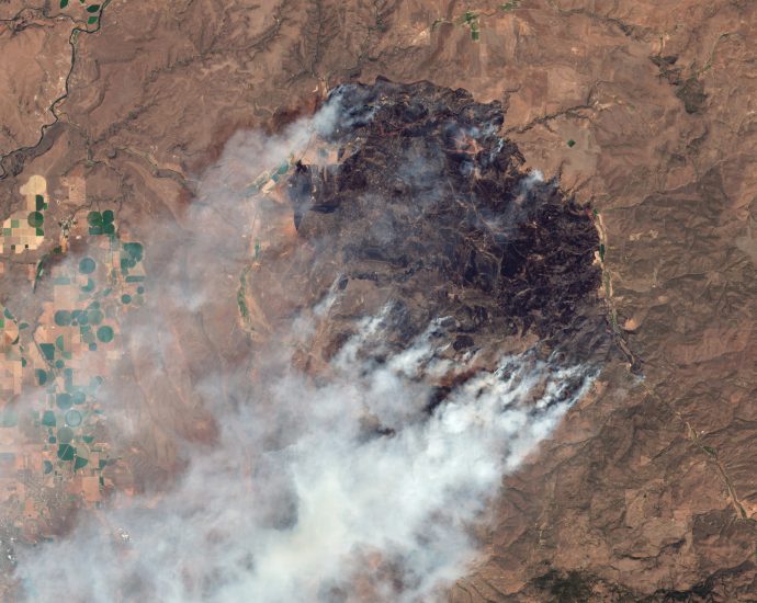 wildfires-are-torching-state-budgets