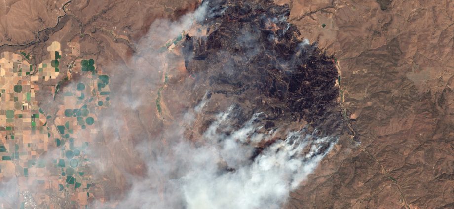 wildfires-are-torching-state-budgets