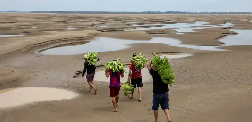 the-world-is-getting-too-hot-to-feed-itself