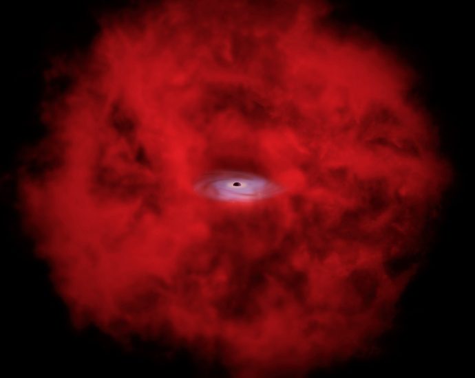nasa-connects-little-red-dots-with-chandra,-webb