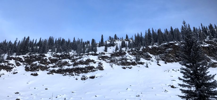 1989-ames-earth-science-publications