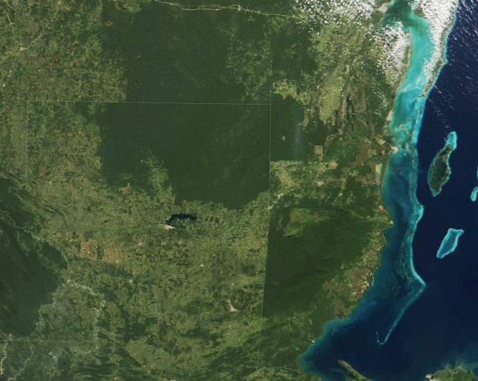 1996-ames-earth-science-publications