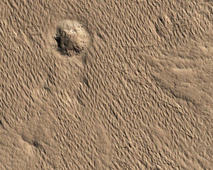 1994-ames-earth-science-publications