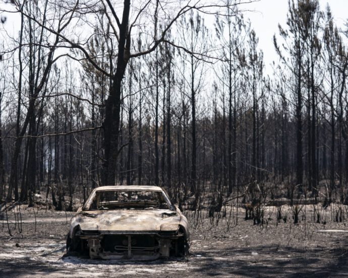 drought-turns-southeastern-us-into-‘tinderbox’-as-wildfires-rage