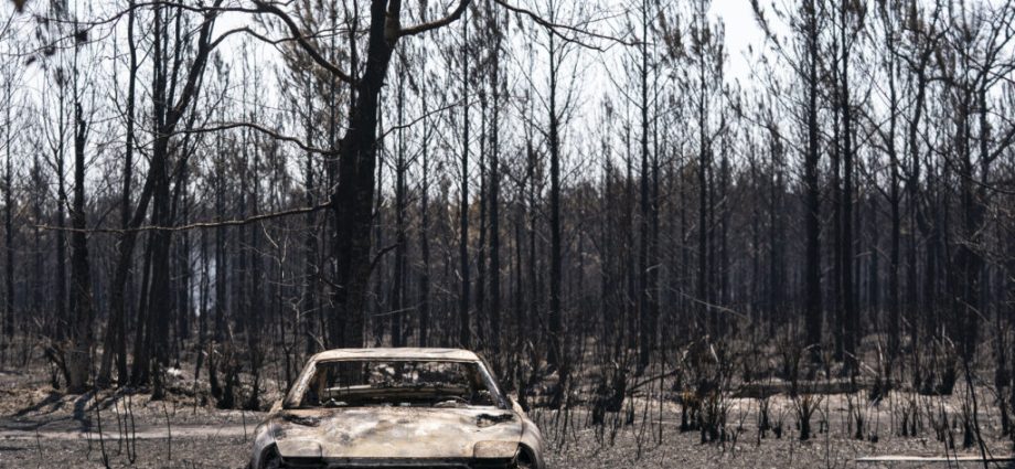 drought-turns-southeastern-us-into-‘tinderbox’-as-wildfires-rage