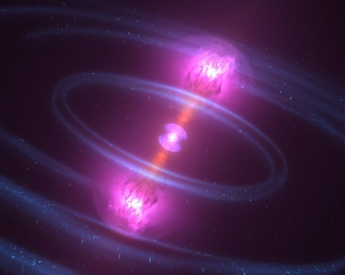 tdamm-sig-meeting,-11-may-2026