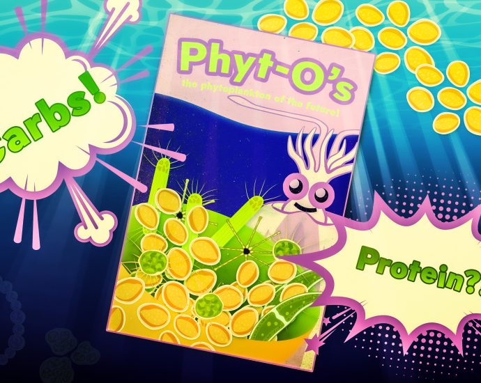 climate-change-may-produce-“fast-food”-phytoplankton