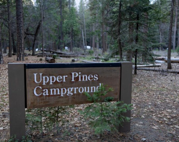 why-a-major-reorganization-at-the-forest-service-has-people-concerned