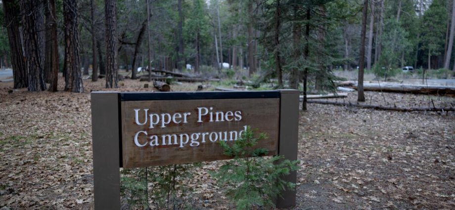 why-a-major-reorganization-at-the-forest-service-has-people-concerned