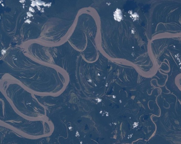 An Amazon rainforest river from space | Space photo of the day for April 30, 2026