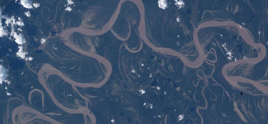 An Amazon rainforest river from space | Space photo of the day for April 30, 2026