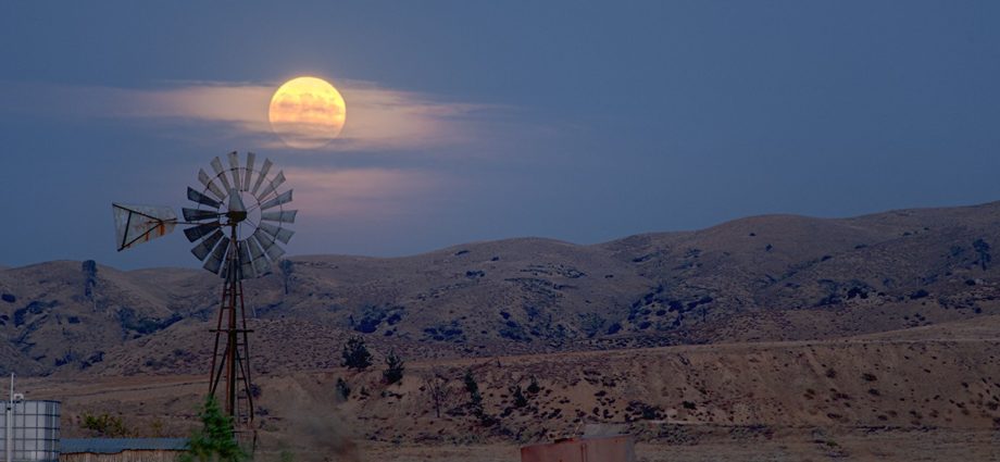 what’s-up:-may-2026-skywatching-tips-from-nasa