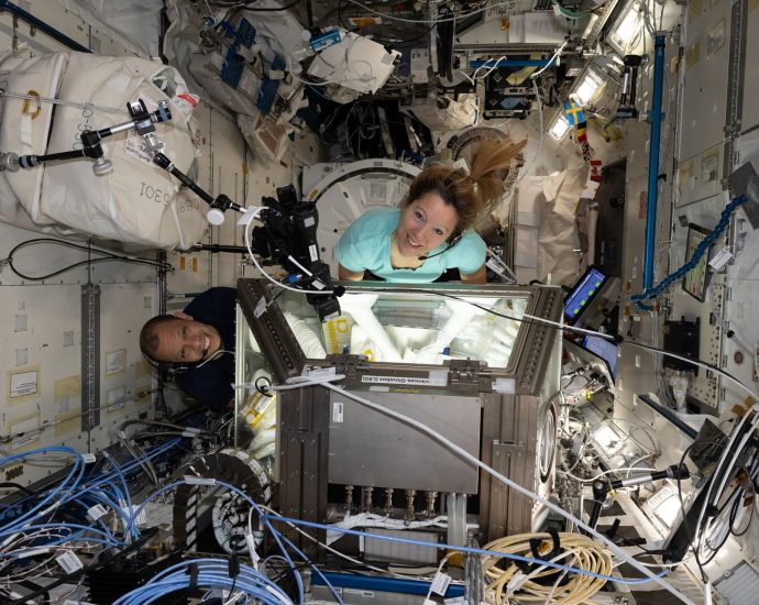 life-science,-space-gardening-top-thursday’s-research-schedule