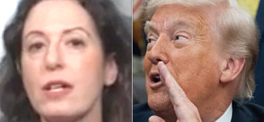 maggie-haberman-says-she-is-mystified-by-1-traitor-47-obsession