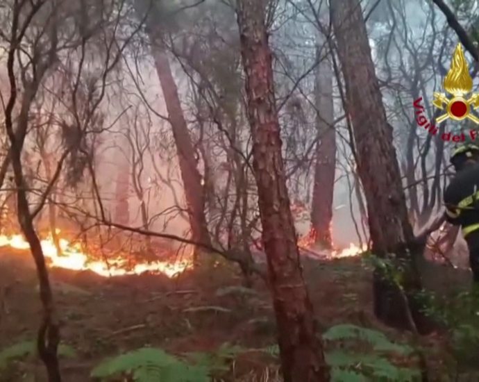italian-firefighters-respond-to-tuscany-wildfires