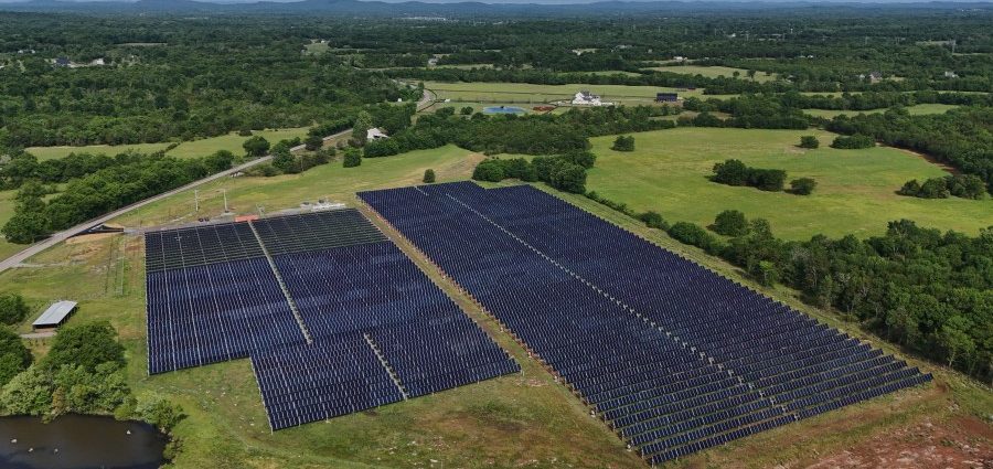 solar-ranch-in-tennessee-aims-to-prove-grazing-cattle-under-the-panels-is-a-farmland-win-win