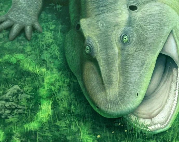 this-275-million-year-old-animal-had-a-twisted-jaw-like-nothing-alive-today