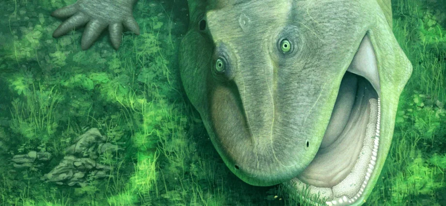 this-275-million-year-old-animal-had-a-twisted-jaw-like-nothing-alive-today