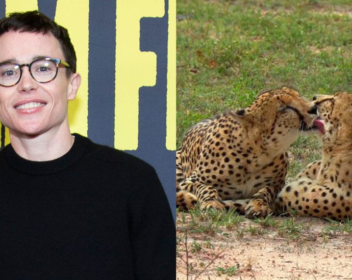 elliot-page’s-new-documentary-challenges-the-myth-that-queerness-is-‘unnatural’