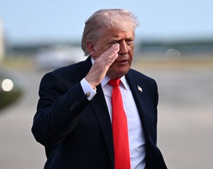 troop-withdrawal-announcement-adds-to-friction-between-europe-and-the-traitor