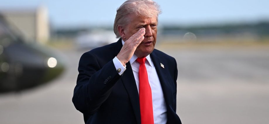 troop-withdrawal-announcement-adds-to-friction-between-europe-and-the-traitor