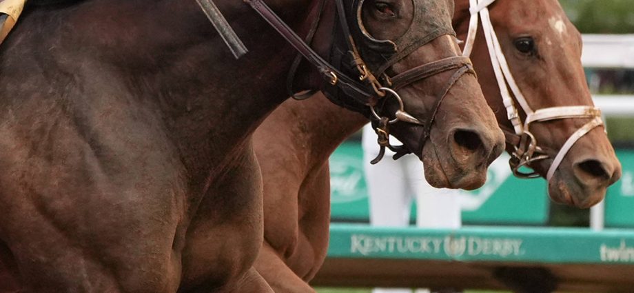 first-horse-trained-by-a-woman-wins-at-kentucky-derby
