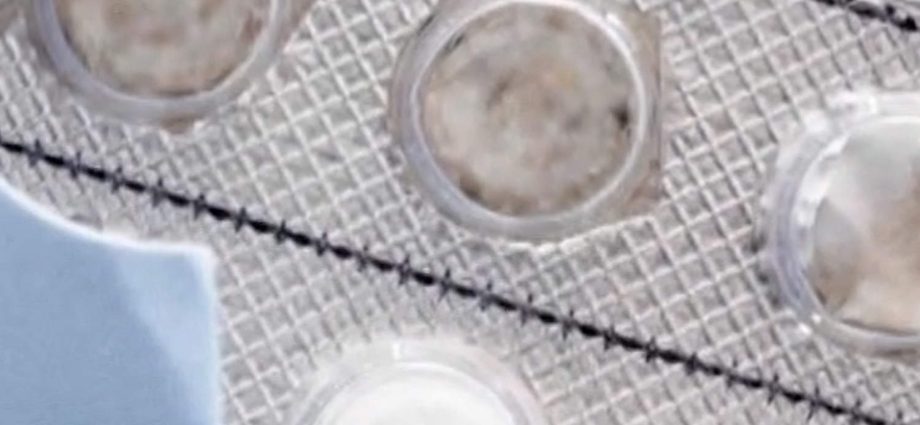 abortion-pill-maker-asks-to-restore-mail-access