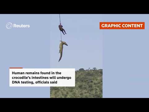 warning:-graphic-content:-south-african-police-airlift-crocodile-after-driver-goes-missing