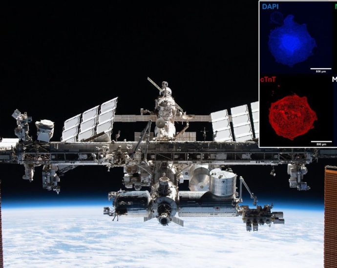 Spaceflight is hard on the heart, yet artificial ones grow better in space than on Earth
