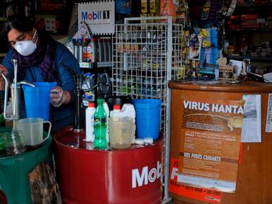 what-to-know-about-hantavirus,-the-illness-suspected-in-a-cruise-ship-outbreak