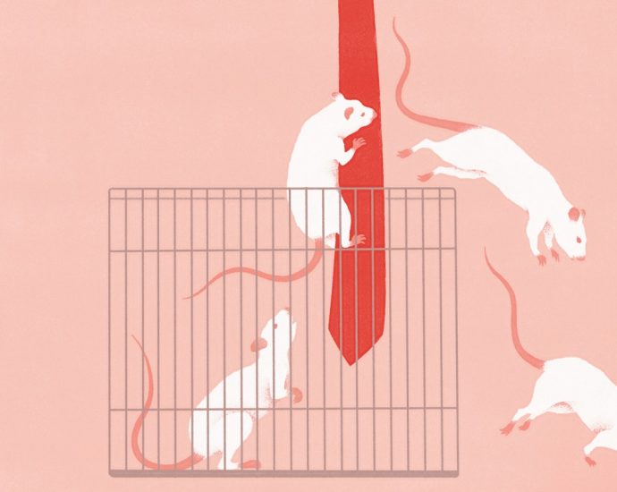 maha-is
monkeying
around
with-lab-rats