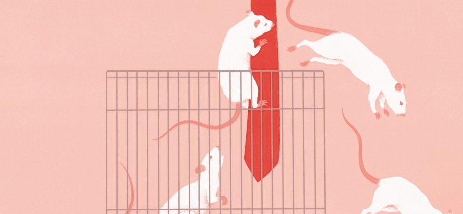 maha-is
monkeying
around
with-lab-rats