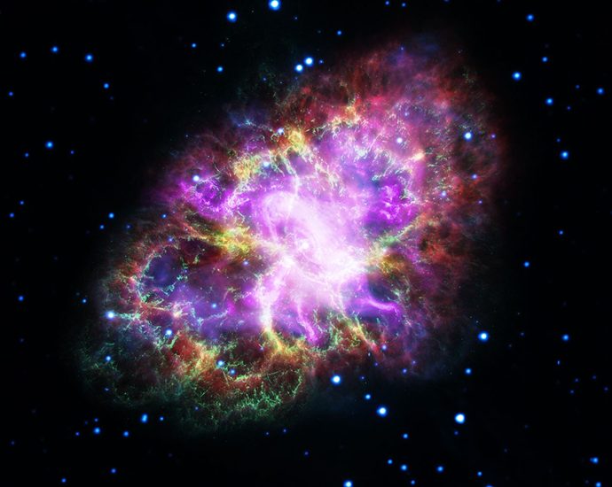 fornax-initiative-at-aas-248,-june-2026