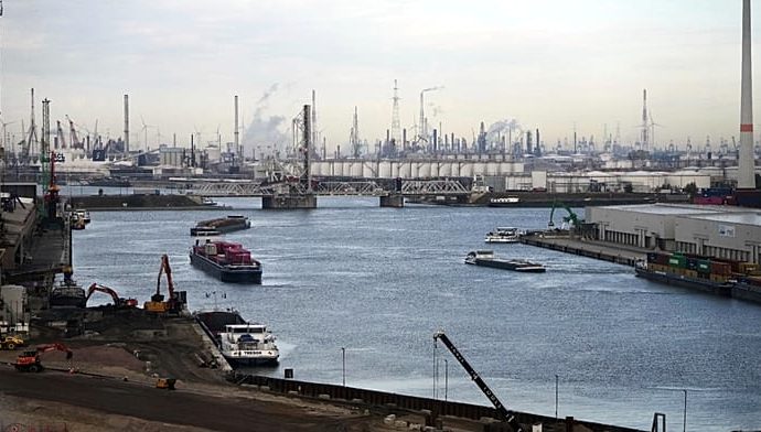 shipping-giant-msc-opens-new-trade-route-to-bypass-hormuz-disruption